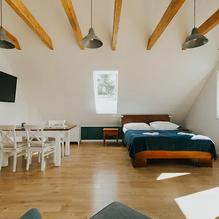 House Karwia&wellness Apartment