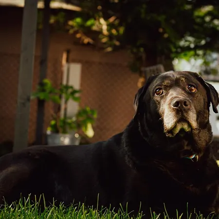 アパート House & Wellness カルビア