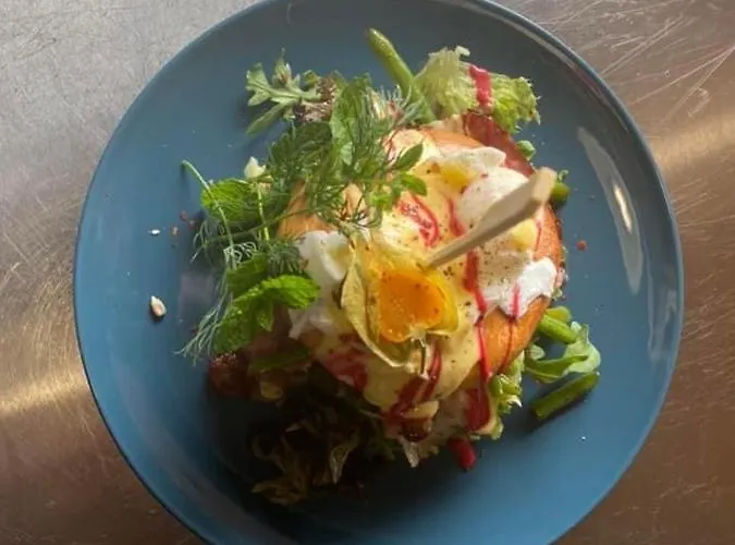 شقة House & Wellness *