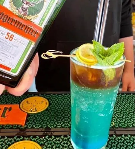 شقة House & Wellness *