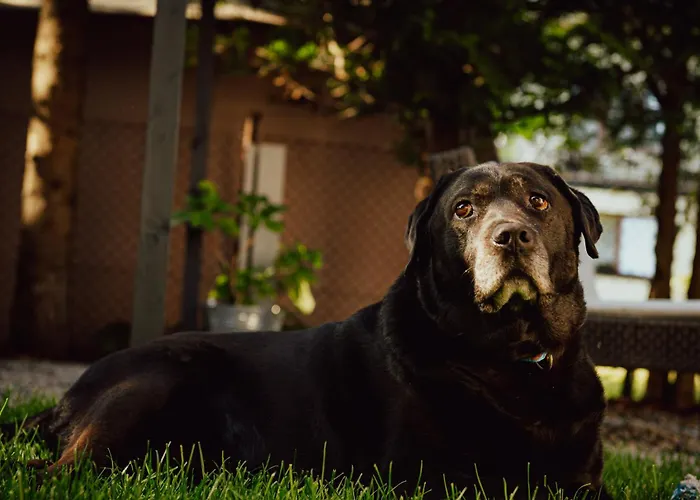 Lägenhet House & Wellness Karwia