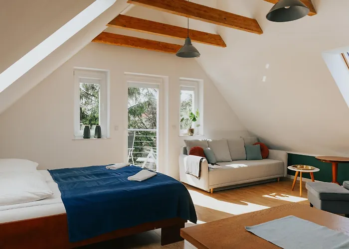 شقة House & Wellness *